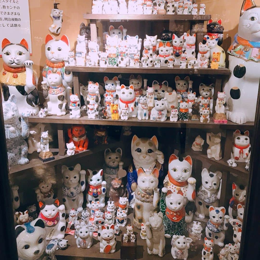 三浦泉さんのインスタグラム写真 - (三浦泉Instagram)「* 愛知県旅レポ✨🐈 〜  国内最大級の 招き猫ミュージアムへ💕🐱 * 招き猫ミュージアムがある瀬戸市は今から100年前 明治30年代後半に全国の陶磁器産地の中で始めて 招き猫の量産を開始した招き猫の故郷なんだそう♥️ だから 大須商店街に巨大な招き猫が置かれてあったのだと納得🥰！！ *  ミュージアムでは 何と5000体もの招き猫を展示されています❣️ そして、日本各地の招き猫は 地域によってお顔が違うのも特徴🐱🎶🎀 個性豊かでどれも可愛いくて愛らしい♥️ *  右が金運  左が人を呼ぶ と言われてます♥️ *  元々の招き猫は左手を上げていたそうですが そのうち右手上げも作られるようになり、当時人々は着物の左のたもとにお金を入れていたので、お金を出し入れをする右手を上げた招き猫をお金招きと呼ぶようになったとか‼️ * 日本一の招き猫専門博物館なので ネコ好きな方も是非足を運ばれてみてくださいね💕  お土産コーナーにもたくさんの猫グッズが 販売されてました💕 🐱招き猫ミュージアム🐱 🌟〒489-0821 愛知県瀬戸市薬師町2番地 TEL：(0561)21-0345 🌟開館時間 10:00～17:00　 入館は16:30まで 🌟休館日は火曜日（祝日の場合は開館） 🌟入場料 大人300円  大学･高校生200円 中学生以下は無料 🍀🐱♥️ * * #招き猫ミュージアム #TAT会  #TAT旅  #TAT旅愛知 #PR #愛知県の旅 #愛知県 #瀬戸市 #瀬戸 #女子旅 #setoshi #seto #travel」11月16日 7時49分 - princessizu1201
