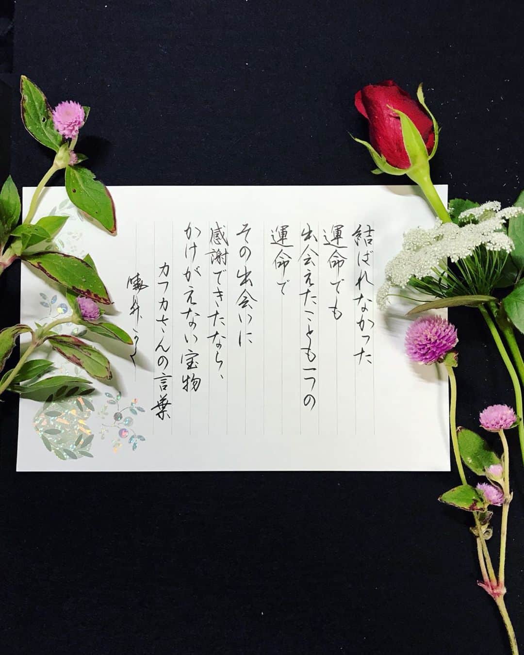 鈴木暁昇のインスタグラム：「* ◆カフカさんの言葉× Bloom Life * カフカさん @kafuka022 の言葉に @bloomeelife さんのお花を添えてます。 * * One fate is the fact that we were able to meet even if the fate was not linked.  If you could appreciate it, it was an irreplaceable treasure ※I am sorry for my poor English. * @bloomeelife 様で初回のお花お届けが✨無料✨になる▼▼クーポンコード▼▼。大変お得ですのでお早めに✨ ■クーポンコード：suzuki ■有効期限：2019年11月30日 * お花は写真のように確りととパックされてポストに届きます。パカっと開けるとステキな花が飛び出します。ポスト投函でも枯れない工夫もされています。 * *** *** *** *** *** *** ◆12月11日美文字講座✨ * ①③満席。②に若干余裕あります。ご参加希望の方はダイレクトメッセージにて。 * * 🔎鈴木曉昇 🔎鈴木曉昇 書芸教室 * #書道 #鈴木曉昇 #和 #wabisabi #calligraphy #筆文字 #artistic #硬筆 #ペン字 #beautiful #chinesecalligraphy #japanesecalligraphy #墨 #sumi #書法 #japan #手書き #美文字 #手書きツイート #オリンピック #Olympic #japaneseculture #日本 #chineseculture #書道パフォーマンス #bloomeelife」