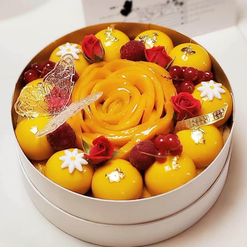 ミスター黒猫（黒猫仙人）のグルメインスタ