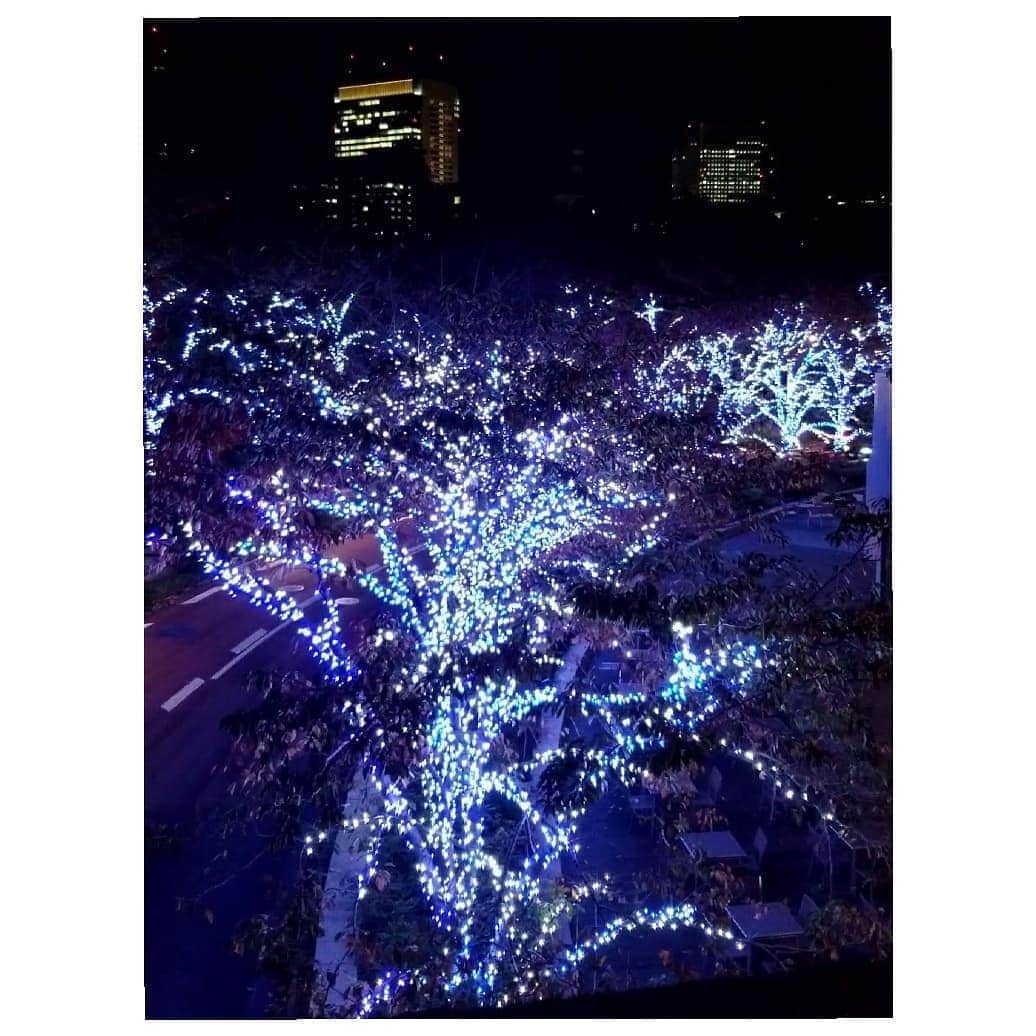 風花舞さんのインスタグラム写真 - (風花舞Instagram)「東京ミッドタウンのイルミネーション  #東京ミッドタウン#イルミネーション#クリスマスツリー」11月16日 1時20分 - kazahanamai_official