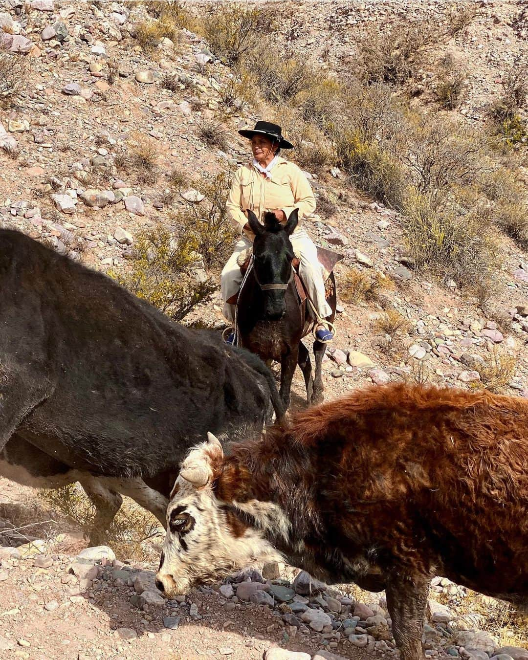 appleさんのインスタグラム写真 - (appleInstagram)「Commissioned by Apple. "Gauchos are the backbone of agriculture in Argentina. Female gauchos have existed since the culture was born. Julia, the hero of our story, is the perfect example of how gaucho women lead a community, starting with their families." #fiestadelatradicion #ShotoniPhone by Marco V. @marcovernaschi Check IGTV for more.」11月16日 1時27分 - apple