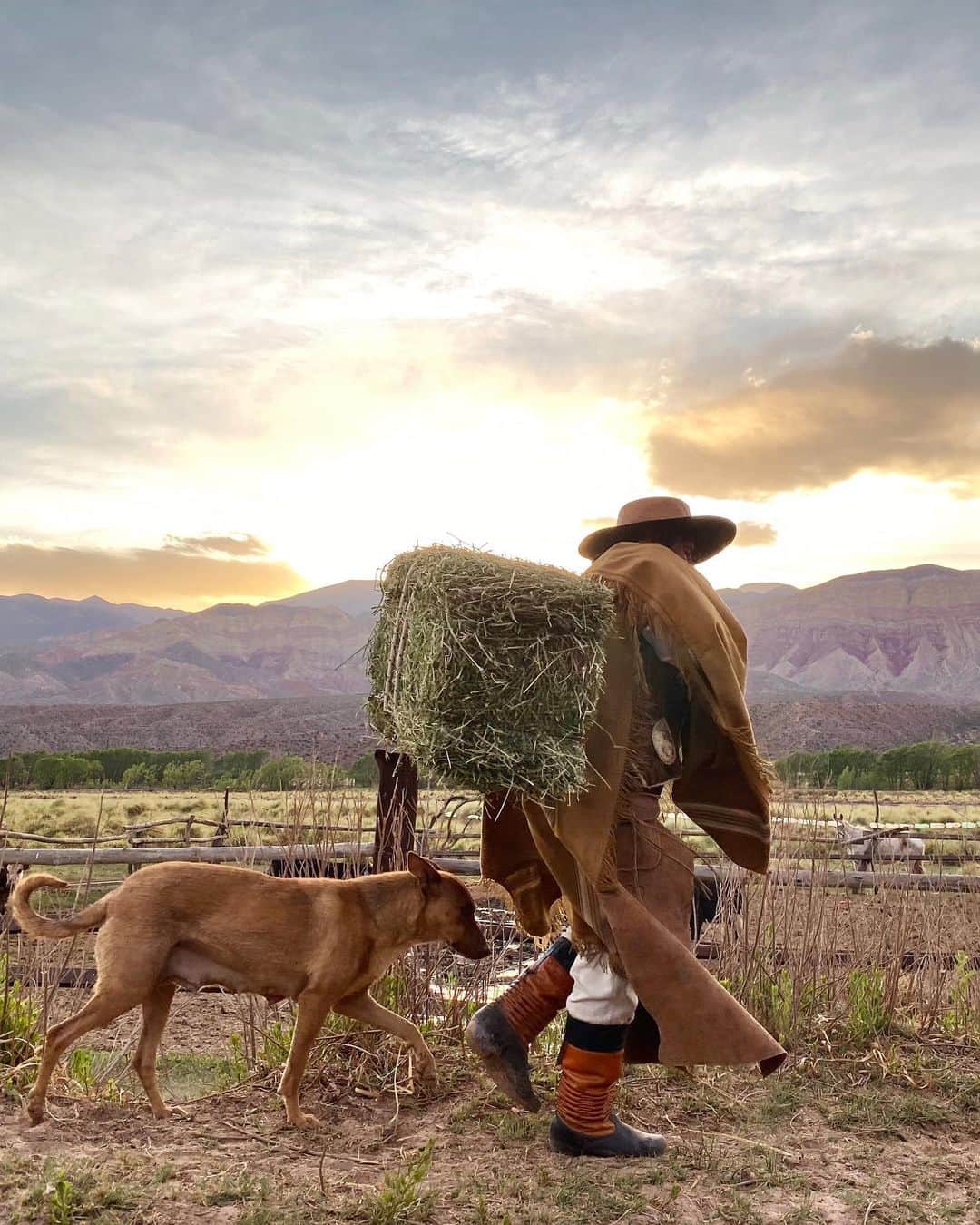 appleさんのインスタグラム写真 - (appleInstagram)「Commissioned by Apple. "Gauchos are the backbone of agriculture in Argentina. Female gauchos have existed since the culture was born. Julia, the hero of our story, is the perfect example of how gaucho women lead a community, starting with their families." #fiestadelatradicion #ShotoniPhone by Marco V. @marcovernaschi Check IGTV for more.」11月16日 1時27分 - apple