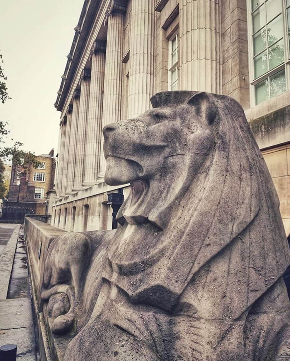 大英博物館さんのインスタグラム写真 - (大英博物館Instagram)「This shot of one of the lions that guard the Museum’s North entrance was taken by @dr_danielvallejo.  The foundation stone of the northern wing of the Museum was laid in 1907 by King Edward VII. 110 years later his great-granddaughter Queen Elizabeth II opened the Sir Joseph Hotung Gallery of China and South Asia, located in the same wing.  Have you taken any photos in the Museum? Share them with us by tagging the location 📍🏛📸 #BritishMuseum #London #photo #UK #museum #📸」11月16日 1時40分 - britishmuseum