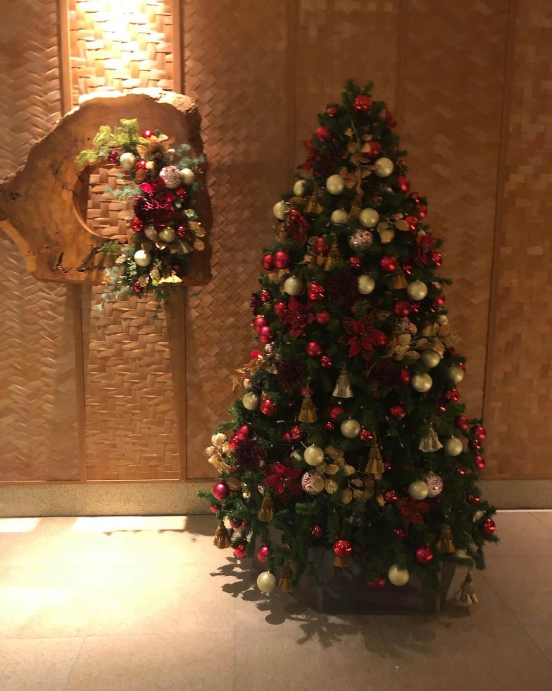 岡安弥生さんのインスタグラム写真 - (岡安弥生Instagram)「もう、こんな季節だよねぇ🥰✨ そして、今年1年の早さに、あせる。#クリスマスツリー#クリスマスシーズン#1年早い#あせる#christmastree #christmasseason」11月16日 1時42分 - yayoin3