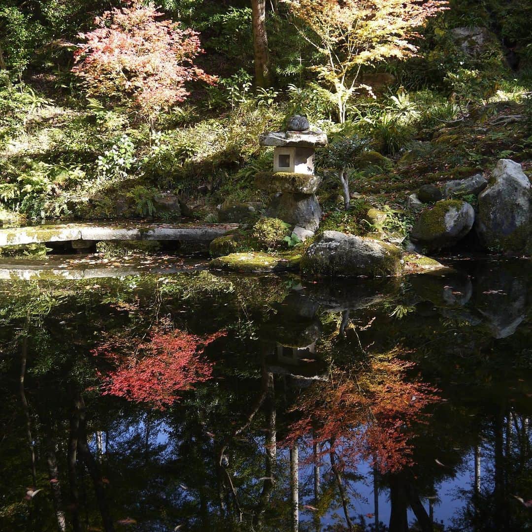 紫苑みやびさんのインスタグラム写真 - (紫苑みやびInstagram)「水鏡  #三千院 #京都 #大原 #写真好きな人と繋がりたい #写真で伝えたい私の世界」11月16日 1時49分 - shion_miyabi