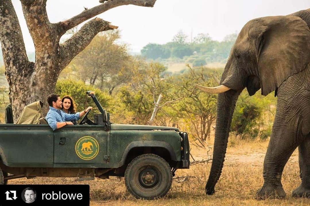 クリスティン・デイヴィスさんのインスタグラム写真 - (クリスティン・デイヴィスInstagram)「This glorious 🐘 is Sebakwe , he lives with his rescued herd at @jabulanisafari . We were so honored to be able to be near these special creatures ❤️🐘 ・・・ Weekend plans? Spend it in Africa with me, @iamkristindavis, and a selection of incredibly inspiring elephants! #HolidayInTheWild @netflixfamily @netflix @netflixfilm」11月16日 2時56分 - iamkristindavis