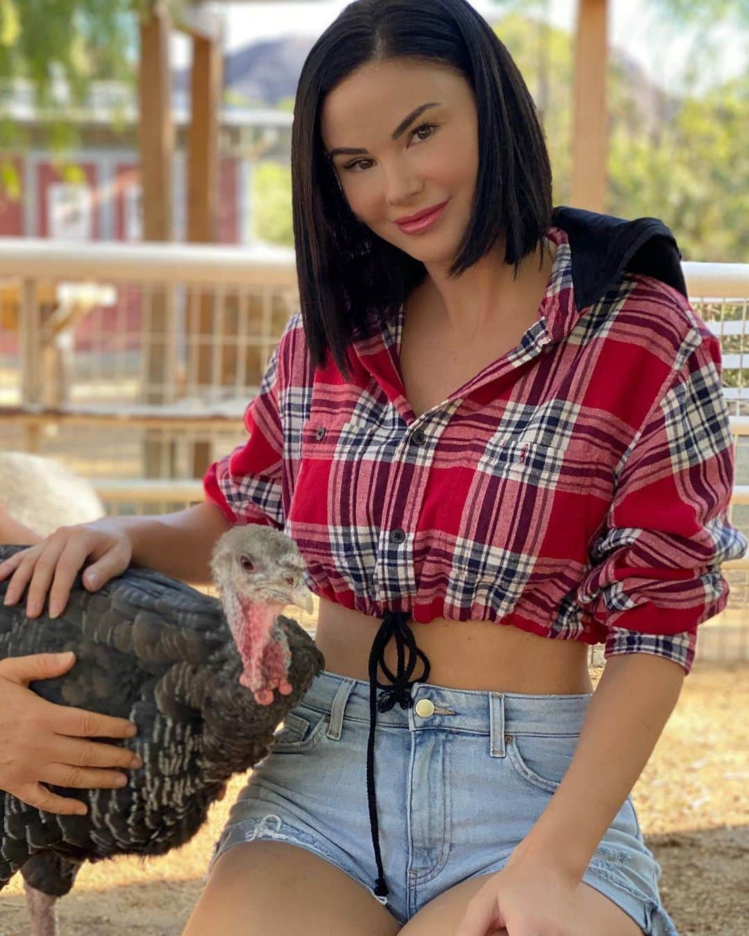 ジェイド・ニコルさんのインスタグラム写真 - (ジェイド・ニコルInstagram)「Turkeys are the sweetest, most beautiful creatures. This thanksgiving try a cruelty free option by ordering our prepared delicious meals from @sugartaco and double down by adopting a turkey from the @thegentlebarn !! Give thanks this year without taking a life, save one instead 💙 #gentlebarn #thanksgiving #savealife #chooseplants #saveaturkey #turkey #love」11月16日 3時33分 - jaydenicole