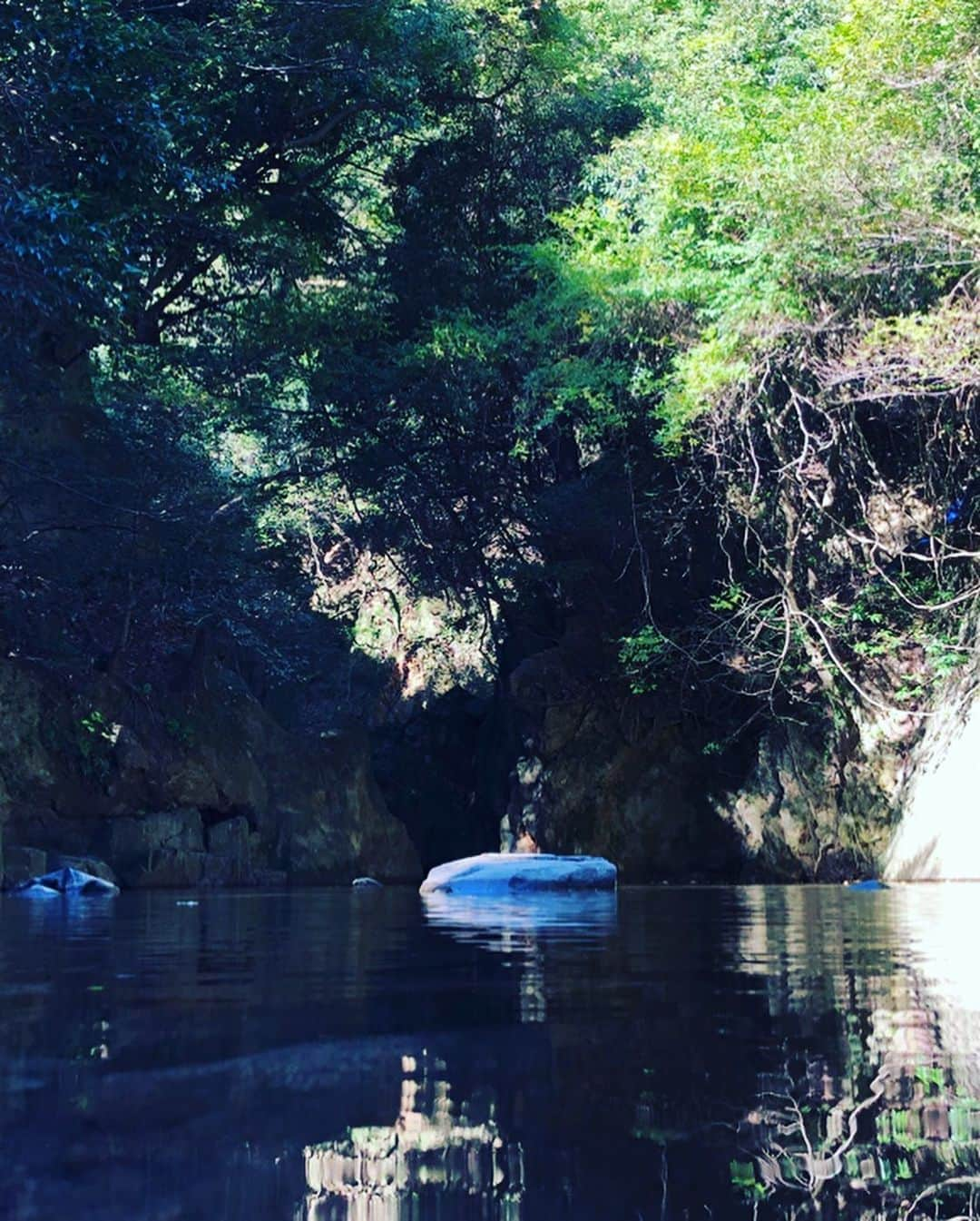 粟生隆寛さんのインスタグラム写真 - (粟生隆寛Instagram)「クルアタイの安定のおいしさと いつもの神戸と新しい神戸を発見 . #クルアタイ #タイ料理 #神戸 #三宮 #布引の滝 #新発見」11月16日 9時29分 - takahiro_aoh