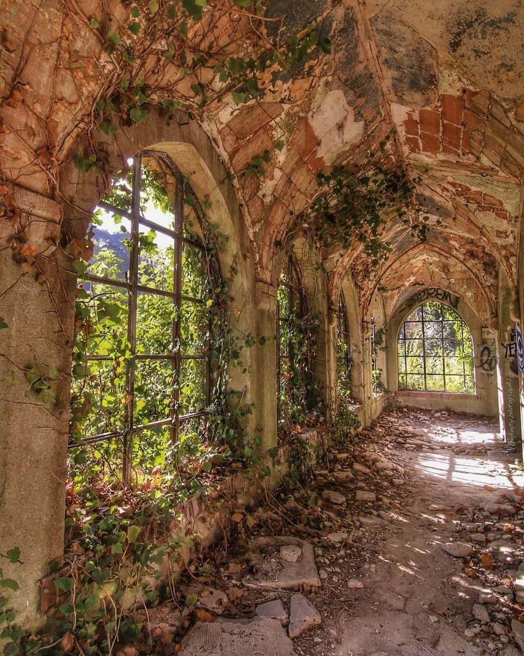 Abandoned Placesさんのインスタグラム写真 - (Abandoned PlacesInstagram)「Overgrown hallway in Europe. Photography by @infinity.photographs」11月16日 4時22分 - itsabandoned