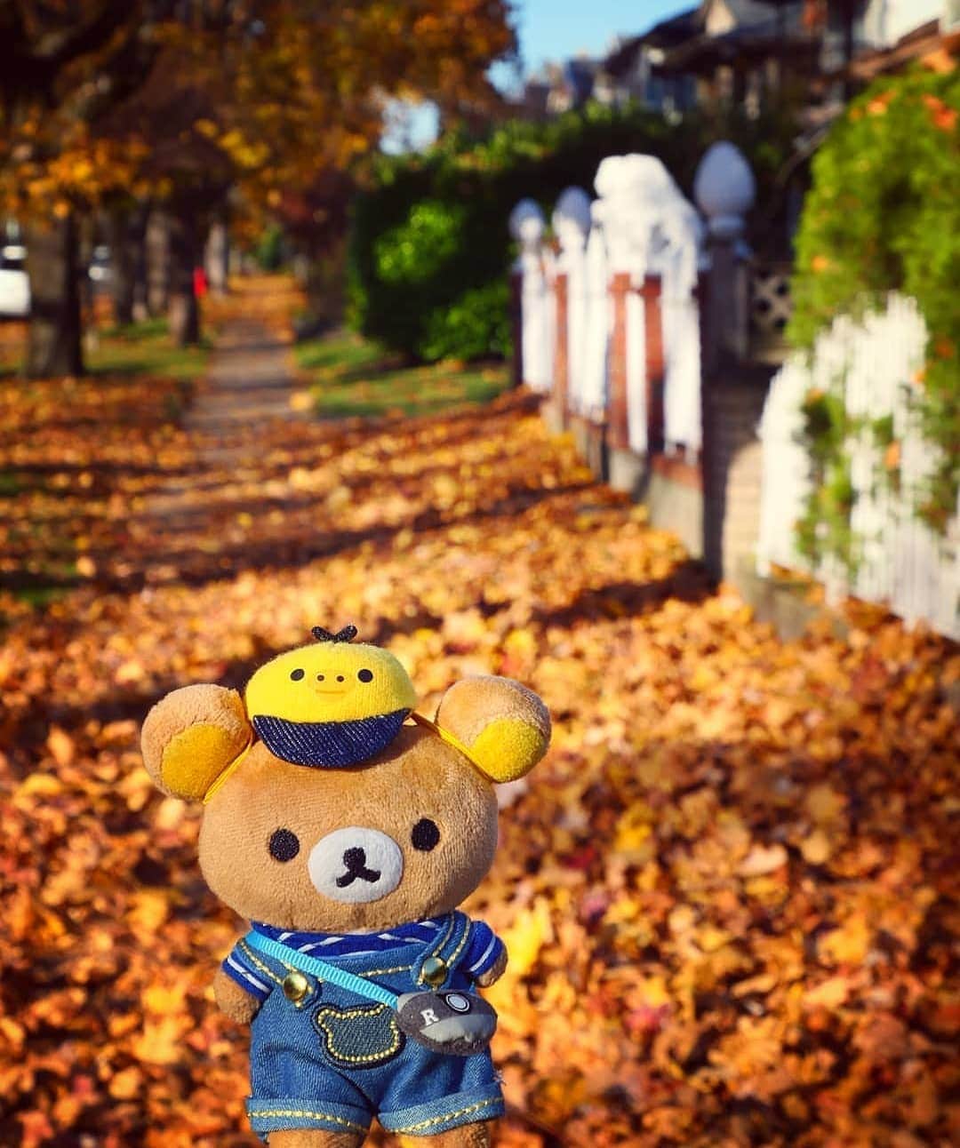 Rilakkuma US（リラックマ）さんのインスタグラム写真 - (Rilakkuma US（リラックマ）Instagram)「Autumn is here in full force! Even Rilakkuma is getting in on the Fall fun! . Pic by @totororo.roro ! . . . #rilakkumaus #Rilakkuma #sanx #autumn #plush #リラックマ #サンエックス」11月16日 4時42分 - rilakkumaus