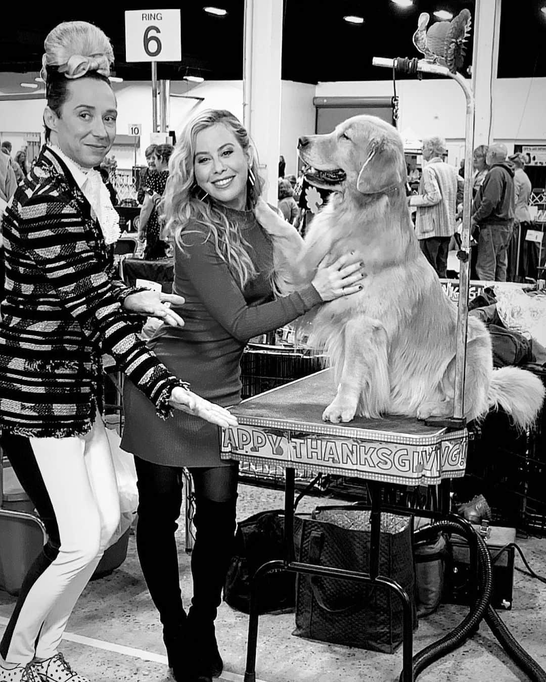 のインスタグラム：「It’s that time of year again!!! This might be my favorite event to work because...dogs...duh. 🐶 Tune in Thanksgiving Day to @nbc to catch all these adorable pups. 🐾 #nationaldogshow #doglover」