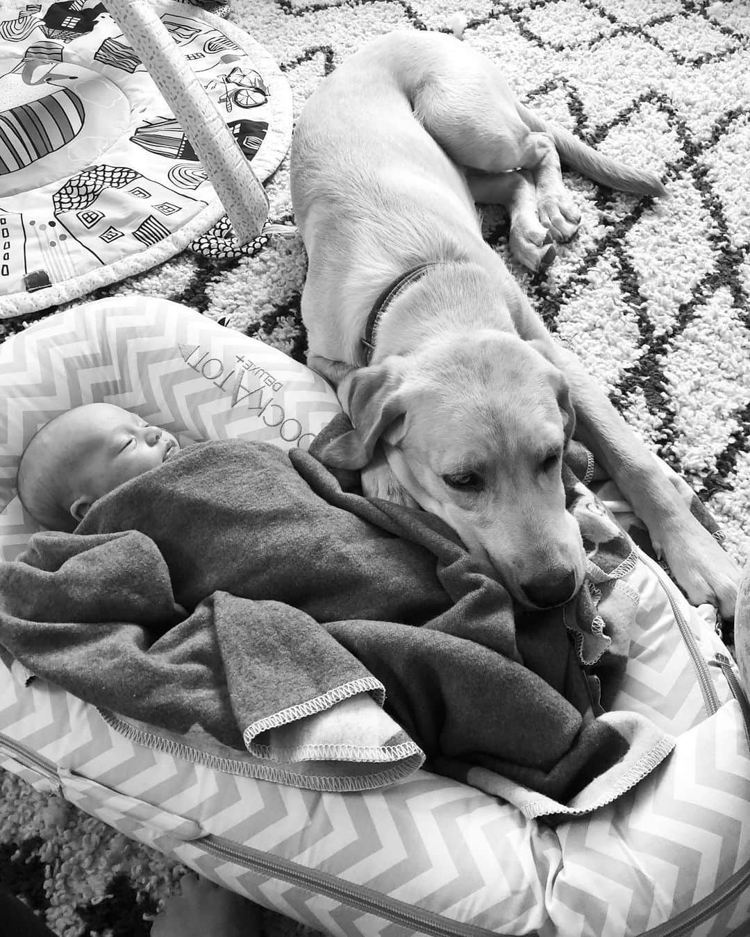 のインスタグラム：「Best friends. 🐶 👶」