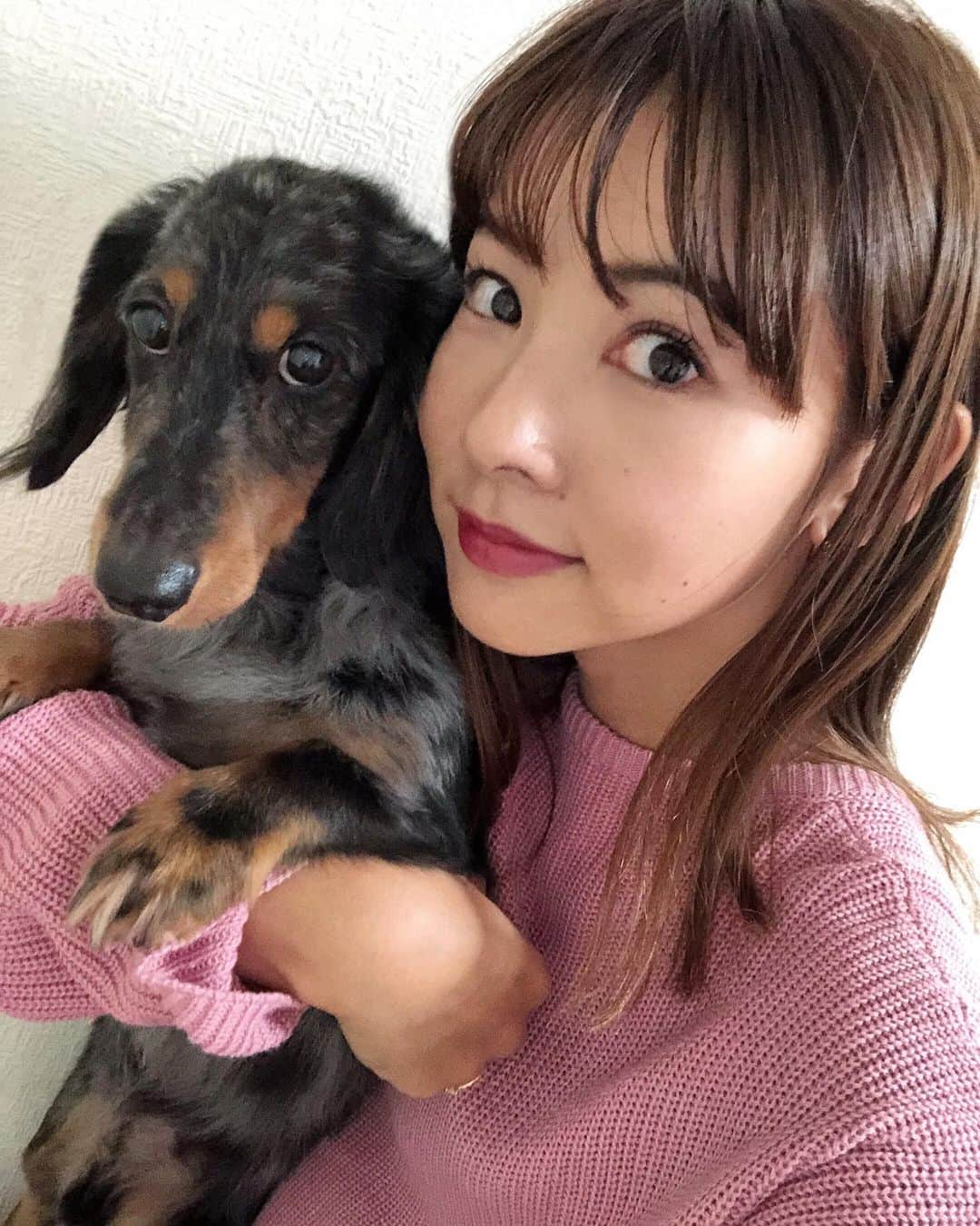 阪本智子さんのインスタグラム写真 - (阪本智子Instagram)「🐶♡ #似てる 🤣🤣 ナチュラルメイクにしたら より似ました╰( Ｕ ・ᴥ・)💓笑 ＊ #miniaturedachshund #dachshund #silverdapple #naturalmakeup #ミニチュアダックス #ダックスフンド #シルバーダップル #そっくり診断 #ナチュラルメイク #阪本智子」11月16日 6時03分 - tomoko_sakamoto423