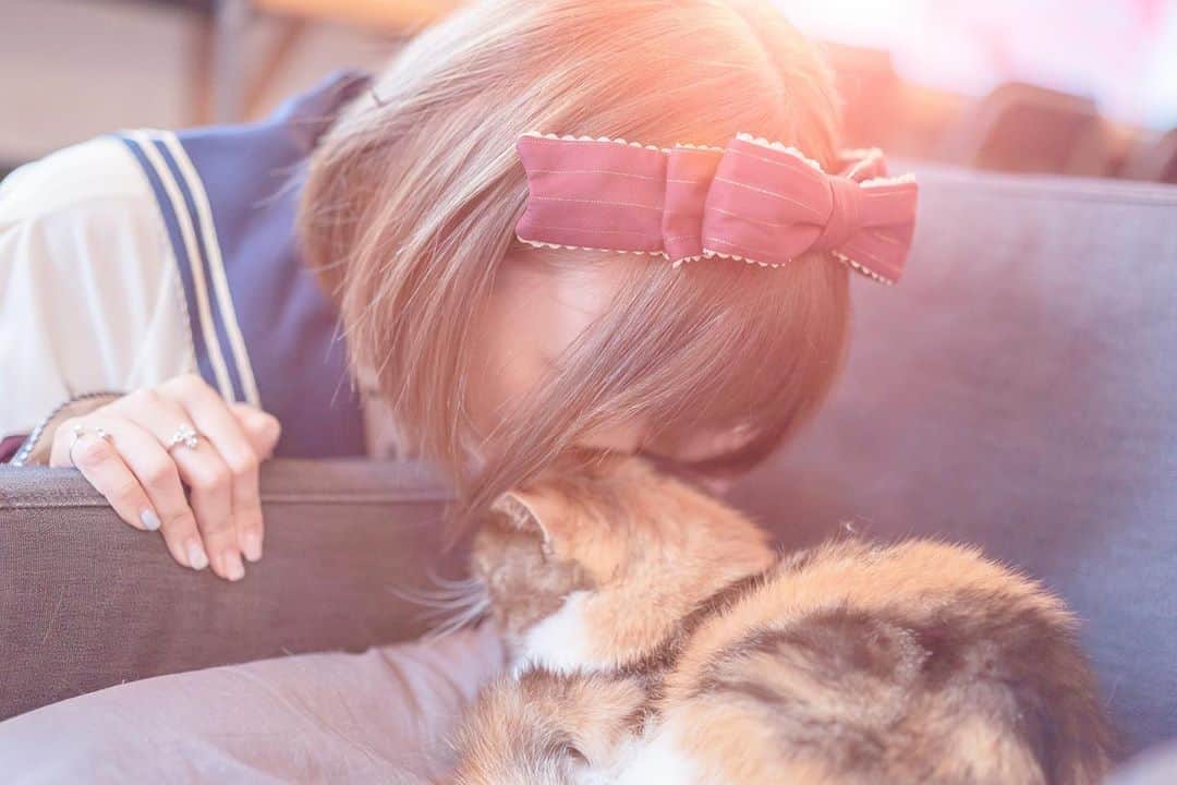 小桃のインスタグラム：「想吸貓....」