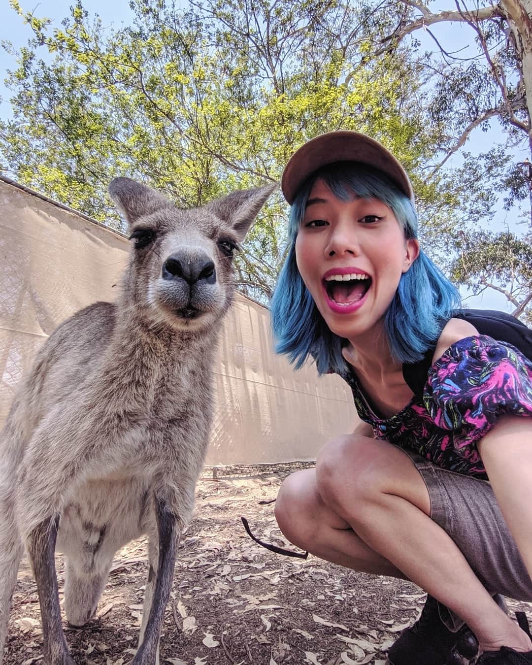 草野絵美のインスタグラム：「Here I come🦘🇦🇺✨Selfie with this guy🤳 ❣️☀️ . . #lonepinekoala #selfiewithanimals」