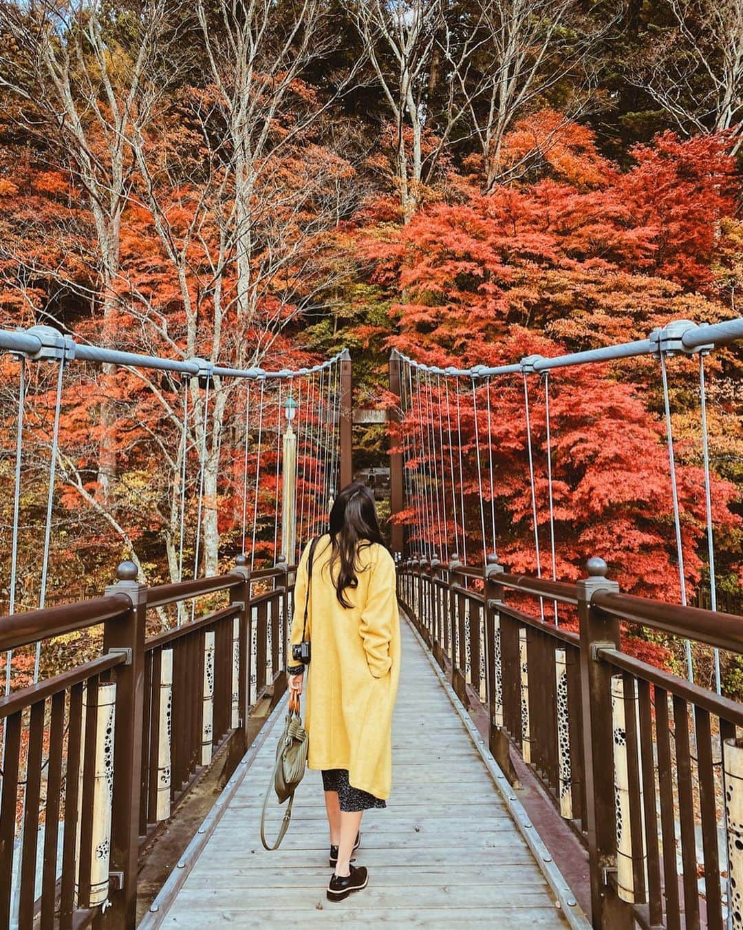 吉田愛璃のインスタグラム：「. . 紅の吊り橋🍁  #紅葉 #栃木 #那須 #紅の吊橋 #日本 #japan #秋 #四季を感じる #女子旅」