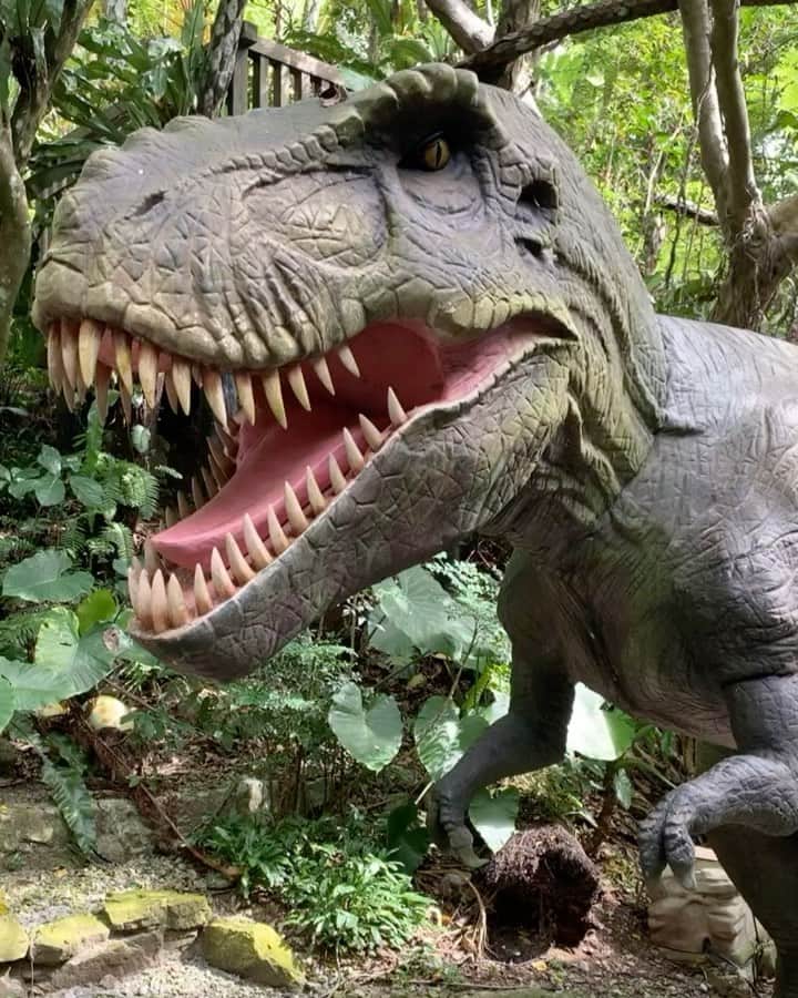 のインスタグラム：「🦖🌳🌳🍃🍃🍃﻿ ダイナソー好きな息子…﻿ なのに、怖がってすぐにおうちに帰ろうと言ってて大爆笑しちゃった😂﻿ ﻿ 森を歩いて、ダイナソー出現楽しかった💚﻿ ﻿#🦖好きにおススメ」