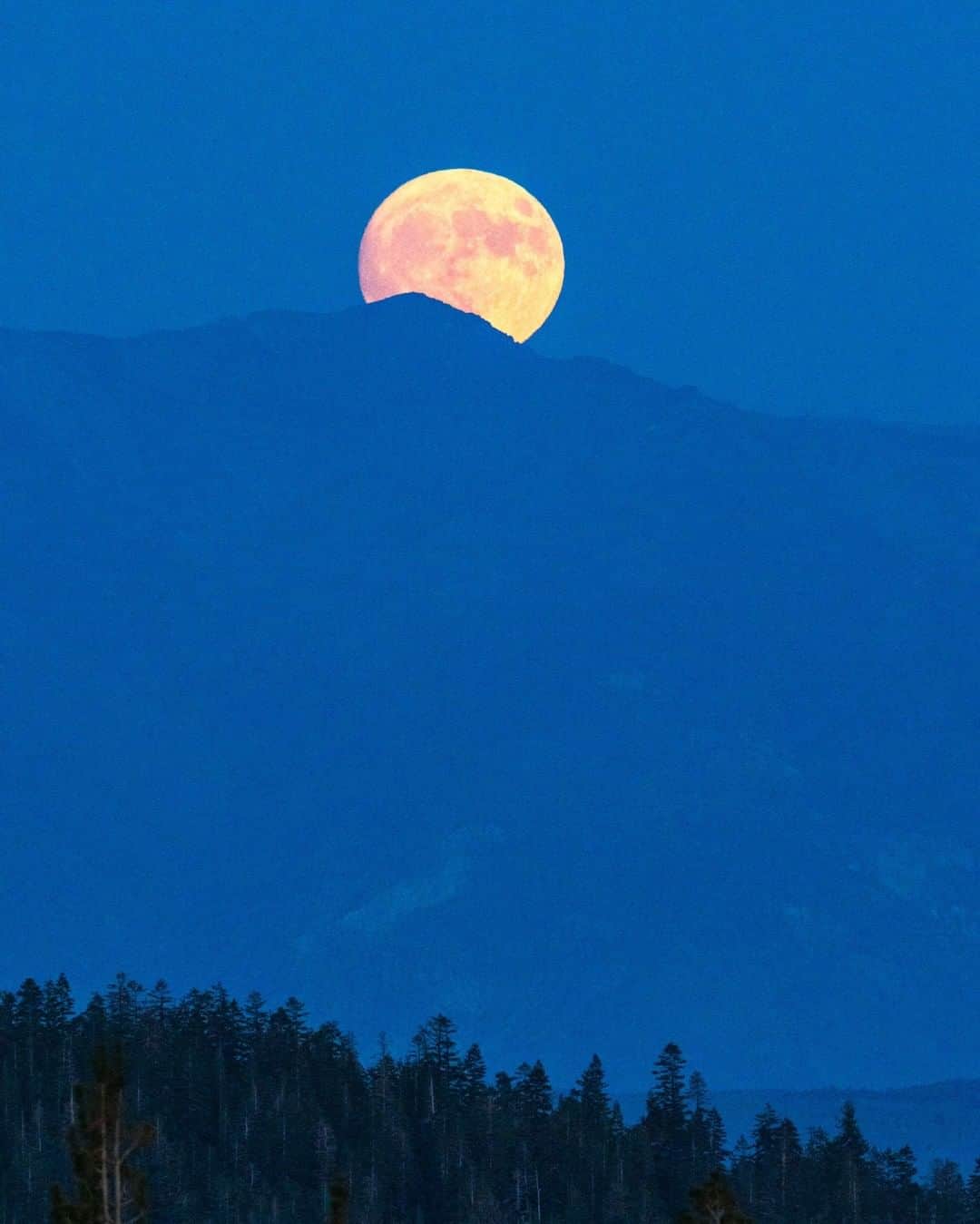 National Geographic Travelさんのインスタグラム写真 - (National Geographic TravelInstagram)「Photo by Pete McBride @pedromcbride | The harvest moon brightened the evening sky in Mammoth Lakes, California, in the early hours of September 14. The name of the moon is a callback to a time when farmers needed that extra light to harvest their crops before winter. For more nocturnal sights follow @pedromcbride. #moon #laluna #nature #autumn」11月16日 18時08分 - natgeotravel