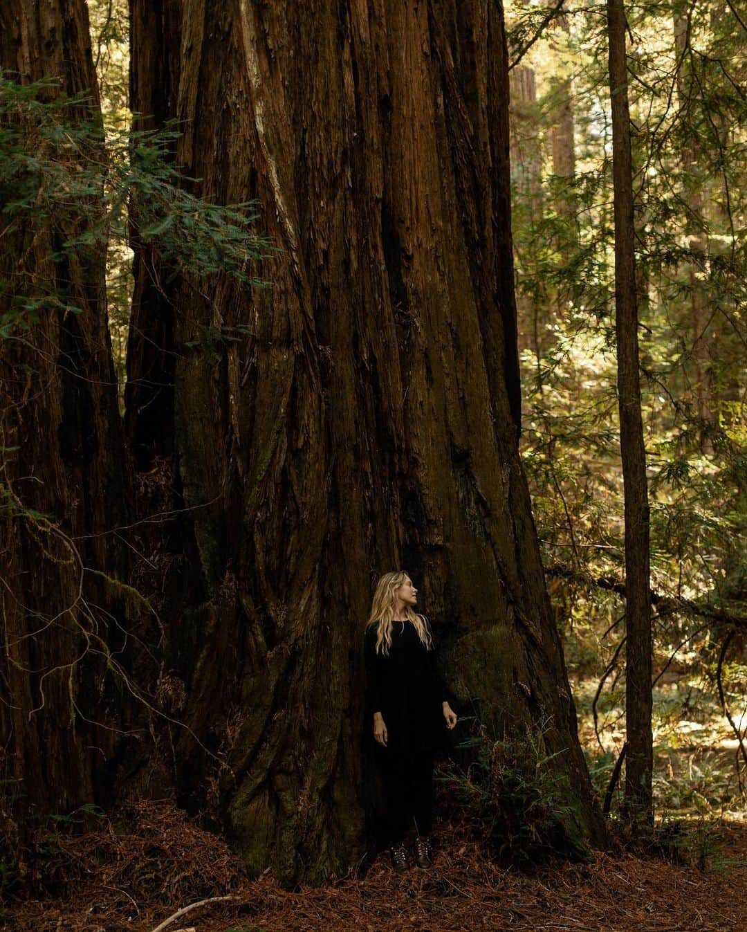 Dara Muscatさんのインスタグラム写真 - (Dara MuscatInstagram)「Visiting redwoods now I can imagine how Star Wars been shot. These trees are amazing, wise elders.✨🙌🏼✨ Теперь, когда я пересматриваю Звёздные Войны 6, я могу представить себе запахи и звуки того леса. Эти деревья - невероятные! Бесконечно уходящие ветвями в небо и корнями в землю, вибрирующие энергией и такие огарочные, что ты не можешь увидеть, где в небе они заканчиваются. Я бегала между ними, ощущая себя как маленький ребёнок, и смеялась. Чувствуя себя так уютно и дома...✨🍂✨」11月16日 18時23分 - daramuscat