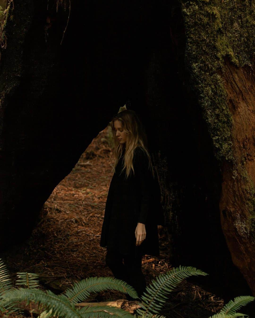 Dara Muscatさんのインスタグラム写真 - (Dara MuscatInstagram)「Visiting redwoods now I can imagine how Star Wars been shot. These trees are amazing, wise elders.✨🙌🏼✨ Теперь, когда я пересматриваю Звёздные Войны 6, я могу представить себе запахи и звуки того леса. Эти деревья - невероятные! Бесконечно уходящие ветвями в небо и корнями в землю, вибрирующие энергией и такие огарочные, что ты не можешь увидеть, где в небе они заканчиваются. Я бегала между ними, ощущая себя как маленький ребёнок, и смеялась. Чувствуя себя так уютно и дома...✨🍂✨」11月16日 18時23分 - daramuscat