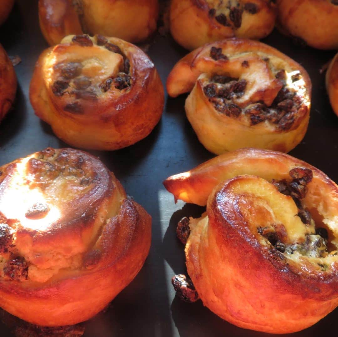 魔女菅原のグルメインスタ