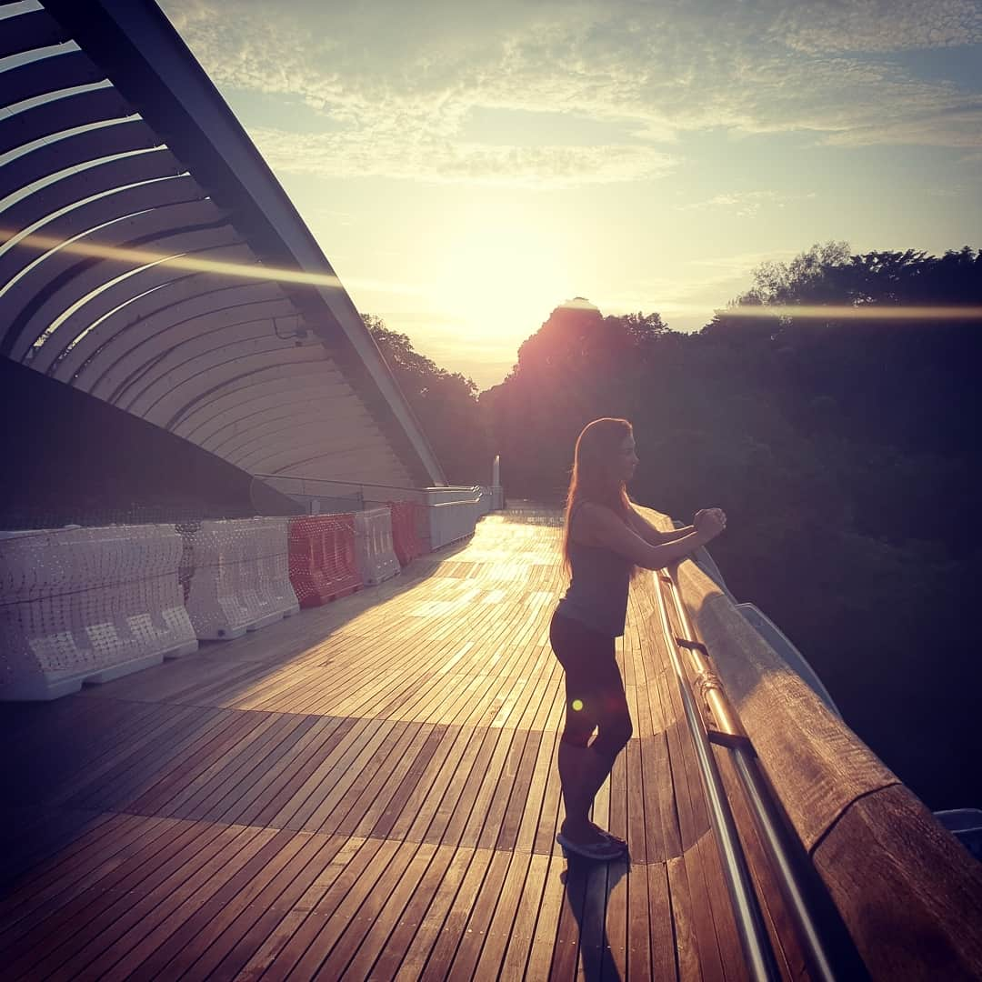 ミーシャ・テイトさんのインスタグラム写真 - (ミーシャ・テイトInstagram)「Good morning Singapore . #HendersonWaves #MountFaberPark #singapore🇸🇬 #Singapore #thingstodoinSingapore #asia #sglife #outdoors #getoutside #seetheworld #explore #exploresingapore #sunrise #singaporesunrise #travel #travelsingapore #singaporetravel #singapore_insta #explorer #wanderlust #wanderlusting #TatesTravels」11月16日 10時19分 - mieshatate