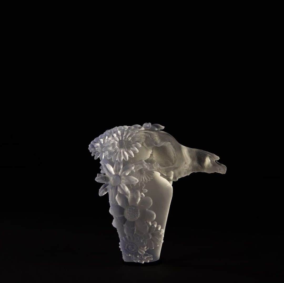 古賀淳也さんのインスタグラム写真 - (古賀淳也Instagram)「12月8日からの用賀の展示では、少しですが先行販売致します。Resin Art Ring (Clear): 正面や横から見ると『ドッグスカルと花』、真上から見るとたくさんの花が咲いた『ブーケ』に、角度によって表情を変えるリング。 3Dプリンターを使用し樹脂素材で出力する事によって、大型のリングとしては今までに無い軽さと繊細な造形、 またクリアやプラックなどのシンプルな色にする事によって高いデザイン性を融合させた。 price: 15,000yen- (＊2020年1月頃より販売予定)  お取り扱い希望のご店舗様はこちらの　@bucephalus2019 のアカウントのDMにて対応させていただきます。  @bucephalus2019 @okudayuta @junya.kg #bucephalus #yutaokuda #junyakoga #art #fashion #design #ring #japan #3dprinter #keisukeokamura」11月16日 10時29分 - junya.kg