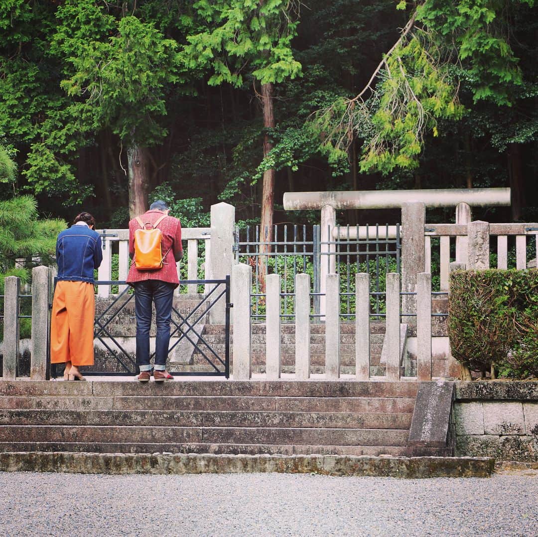 テレビ大阪「おとな旅あるき旅」さんのインスタグラム写真 - (テレビ大阪「おとな旅あるき旅」Instagram)「京都駅から一駅で、こんなにひっそり。  今夜のおとな旅あるき旅（テレビ大阪）は、紅葉の穴場 京都・山科さんぽです！  京都の街中に比べると落ち着いて回れる山科で、紅葉の見頃を迎える名刹や史跡をめぐり、京都らしい美味も探します！お楽しみに！  今夜 18:30〜  #おとな旅あるき旅#テレビ大阪#三田村邦彦#川北円佳#京都#山科#毘沙門堂#安祥寺#天智天皇陵#隨心院#紅葉#普段非公開#この秋特別公開#小野小町ゆかり#おばんざい#隠れ家」11月16日 11時55分 - tvo.otonatabi
