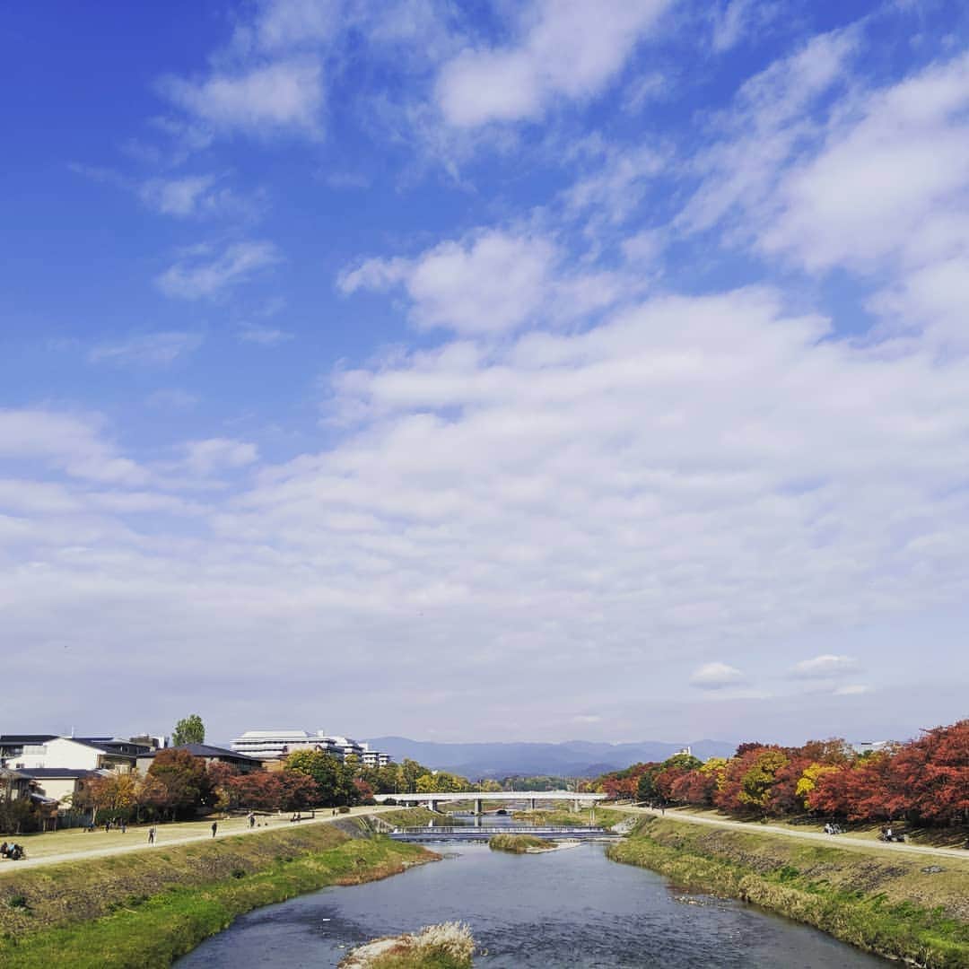 City of Kyoto Official Accountのインスタグラム：「Today's Kamo river in Kyoto.  2019年11月16日撮影。  #visitkyoto #visit_kyoto #kyotogenic #art_of_japan #japan_of_insta #loves_united_kyoto #kyototravel #japantrip #kyototrip #ig_kyoto #kyoto_style #kyotohiddengems #riverside #sunny #autumninkyoto  Kyoto Official Travel Guide http://kyoto.travel/en  #京都 #京都ジェニック  #未来に残したい京都  #京都好きな人と繋がりたい #とっておきの京都 #そうだ京都行こう #原風景 #鴨川 #京都紅葉 #京都の秋  オフィシャルサイト「京都観光NAVI」 http://ja.kyoto.travel」