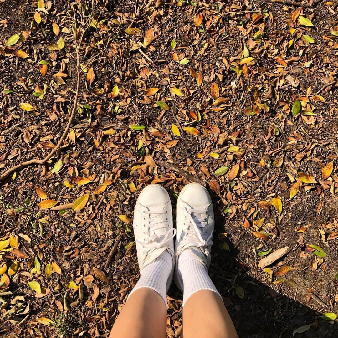Miss Hunnyのインスタグラム：「出走了幾天， Hunny去了找Darling point。」