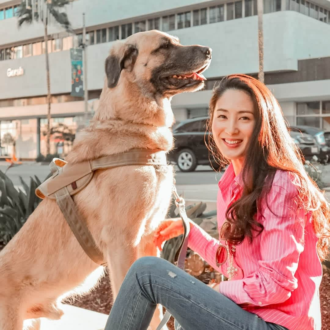 吉松育美さんのインスタグラム写真 - (吉松育美Instagram)「.⠀ This is my guard dog! 🐶lol ⠀ ⠀ He always has my back!! Now its getting colder, so he keeps me warm too!! Lol⠀ ⠀ I LOVE to slide my cold feet under him and feel his big heart beating! 💓 😍❄❄❄❄⠀ ⠀ What do you think makes the bond between dogs and humans so strong??⠀ ⠀ バディーさんは私のガードマンです(笑)この犬を持って歩いてたら誰も近づいては来ません😂⠀ ⠀ 最近、ロスも急に秋らしくなってきて寒いのですが…この季節になると寝ているバディーさんのお腹の下に素足を入れて暖めてもらいます💓💓💓心臓の音も感じてなんだか落ち着きますよw⠀ ⠀ 何で犬と人間はこんなにも絆が深くなったのだろうか、、、皆さんもワンチャンに暖めてもらった経験はありますよね??😂🐶💓❄⠀ ⠀ ⠀ ⠀ ⠀ #bigdoglover #bigdoglife #kangals #kangallife #anatolianshepard #anatoliansheparddog #大型犬のいる暮らし #大型犬好き #大型犬と暮らす #ワンちゃんと一緒 #カンガル犬 #ロサンゼルス在住 #海外在住日本人」11月16日 13時03分 - ikumiyoshimatsu