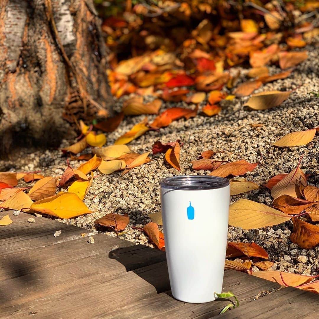 Blue Bottle Coffee Japanさんのインスタグラム写真 - (Blue Bottle Coffee JapanInstagram)「⁠ コーヒー片手に秋の散策。⁠ 素敵な週末をお過ごしください。⁠ ⁠ Photo by @namchul⁠ ⁠ ⁠ #MiiR⁠ #ブルーボトルコーヒー⁠ #ブルーボトルコーヒーコミューターカップ⁠ #BlueBottleCoffee⁠ #bluebottlecoffeecommutercup」11月16日 13時30分 - bluebottlejapan