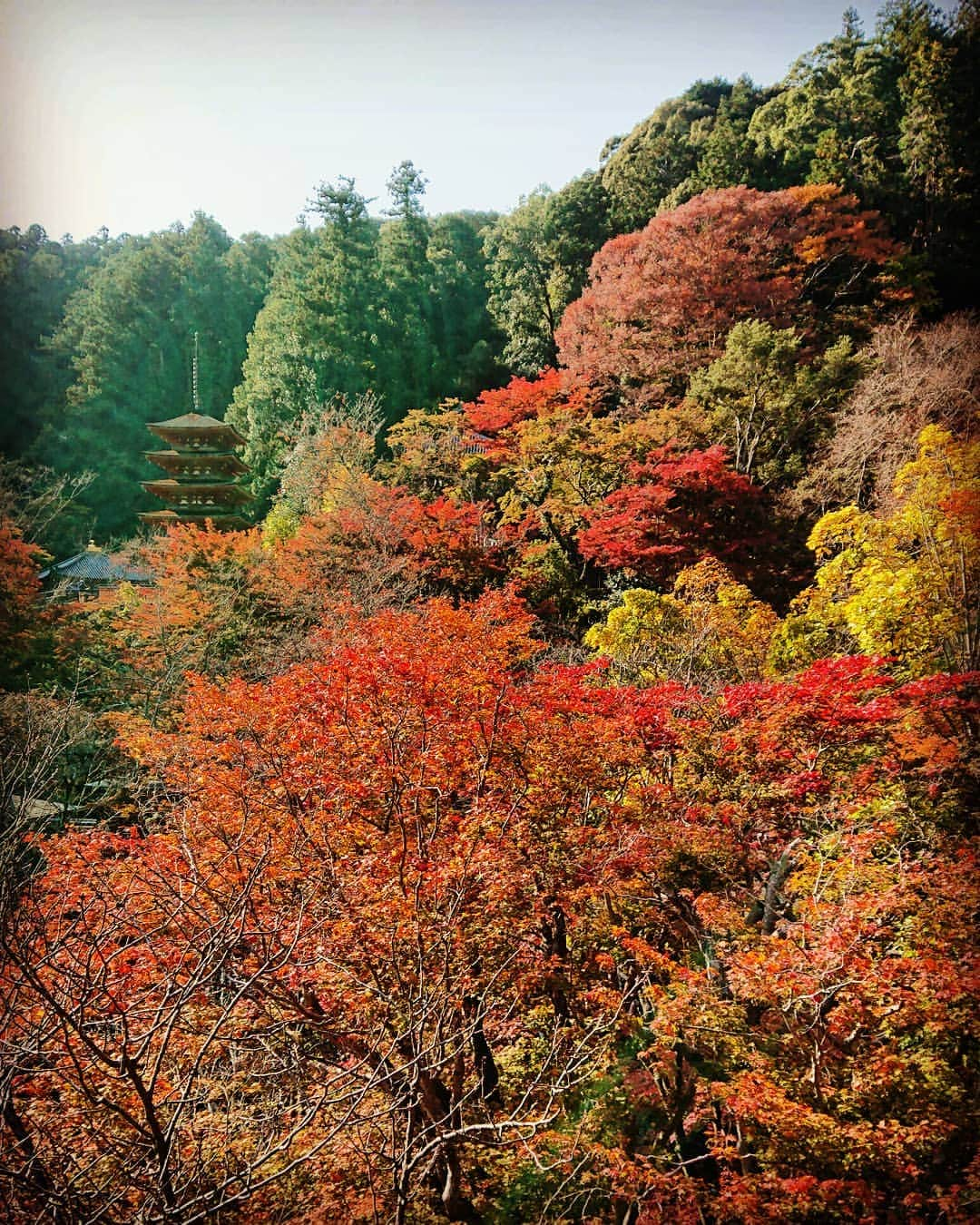 和田益典のインスタグラム