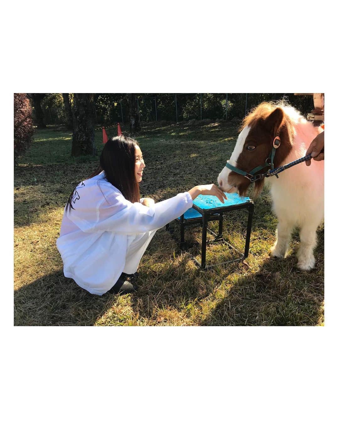 蔵歩実さんのインスタグラム写真 - (蔵歩実Instagram)「ドローンのお仕事で 栃木県行ってきました！ ミニ動物園来てて癒されたー(*´꒳`*)♥️ . . #猫背の極み #www #ポニー #パンダマウス #ドローン #ドローンビーナス  #japanese #japanesegirl #일본 #일본인 #일본사람#東京 #tokyo #도쿄 #モデル #model#모델 #followme  #高身長 #高身長女子 #instalove #ootd」11月16日 14時38分 - ayumi_kura_