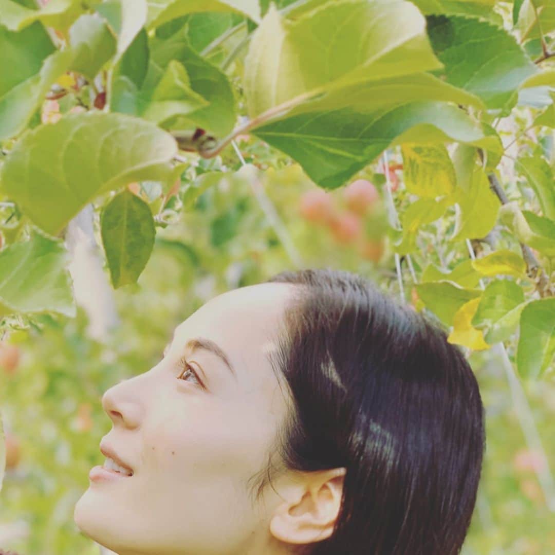 日高薫のインスタグラム：「毎年恒例のりんご🍎狩りへ😋 美味しいお蕎麦を頂いたあとの自然の中をお散歩が気持ちいい〜🍂🍁🍄 #りんご #りんご狩り #🍎#長野 #長野観光 #小布施#お蕎麦 #十割蕎麦 #写真撮り忘れた 散歩 #3歳 #女の子ママ」