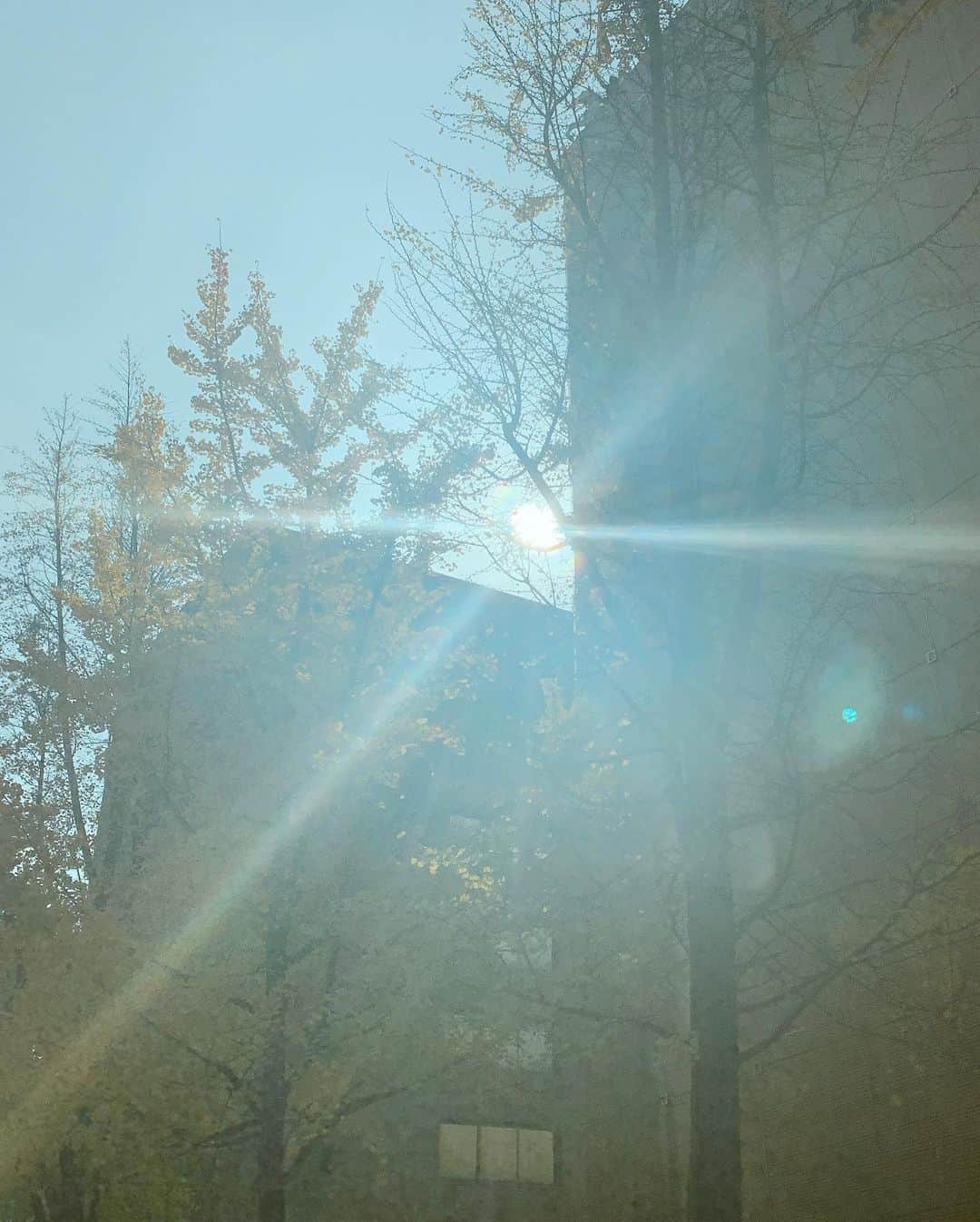 ソン・テヨンさんのインスタグラム写真 - (ソン・テヨンInstagram)「: 가을가을한 겨울🍂🍁 행복한 주말 보내세요♥」11月16日 15時25分 - sontaeyoung_official