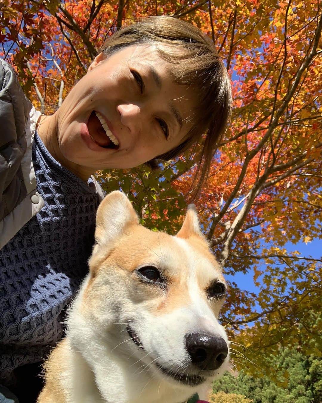 橋本志穂さんのインスタグラム写真 - (橋本志穂Instagram)11月16日 15時26分 - shihohashimoto3