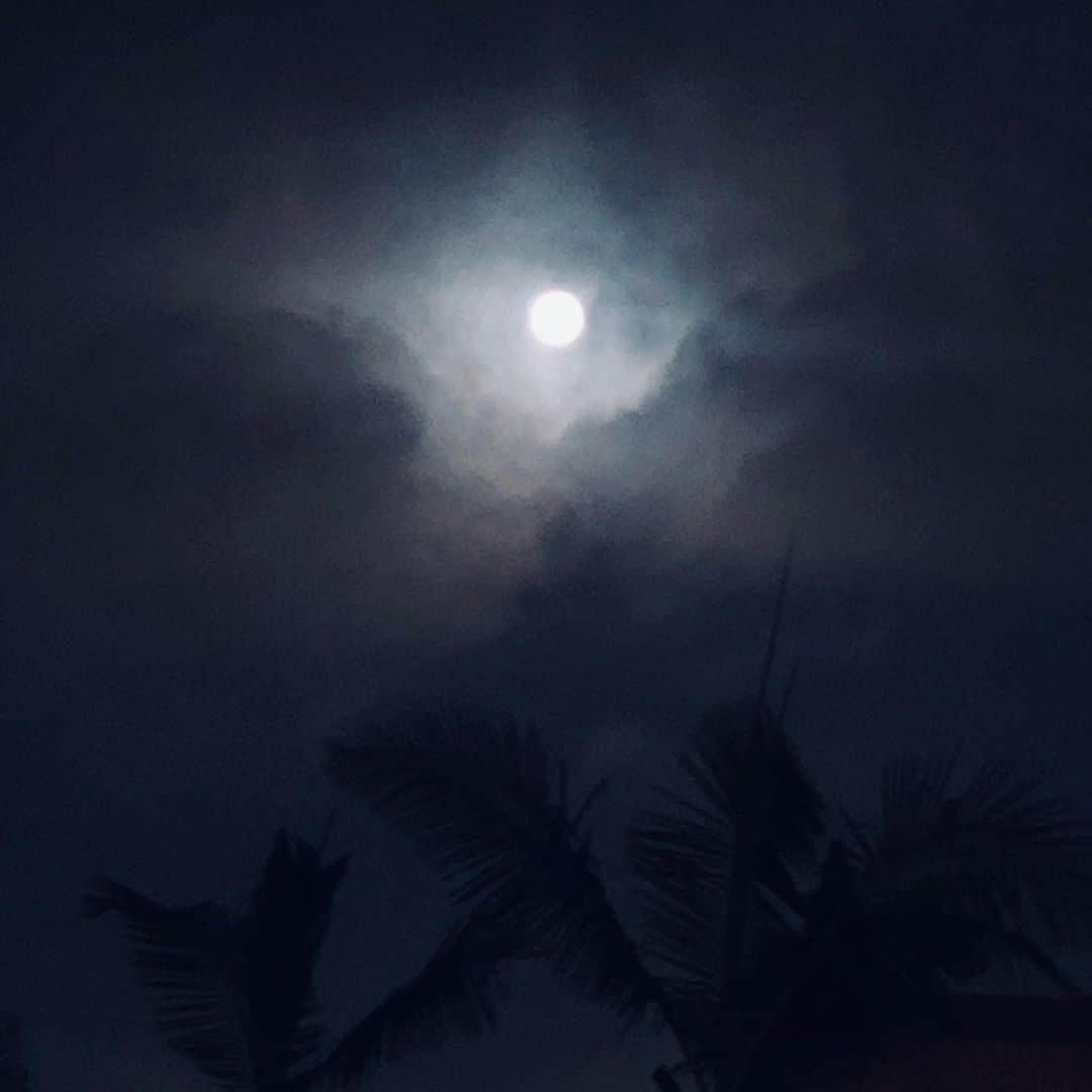 ジーナ・カラーノさんのインスタグラム写真 - (ジーナ・カラーノInstagram)「The moon never lies. 🌹」11月16日 15時40分 - ginajcarano