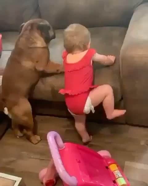 のインスタグラム：「Twins work! 😻😻」