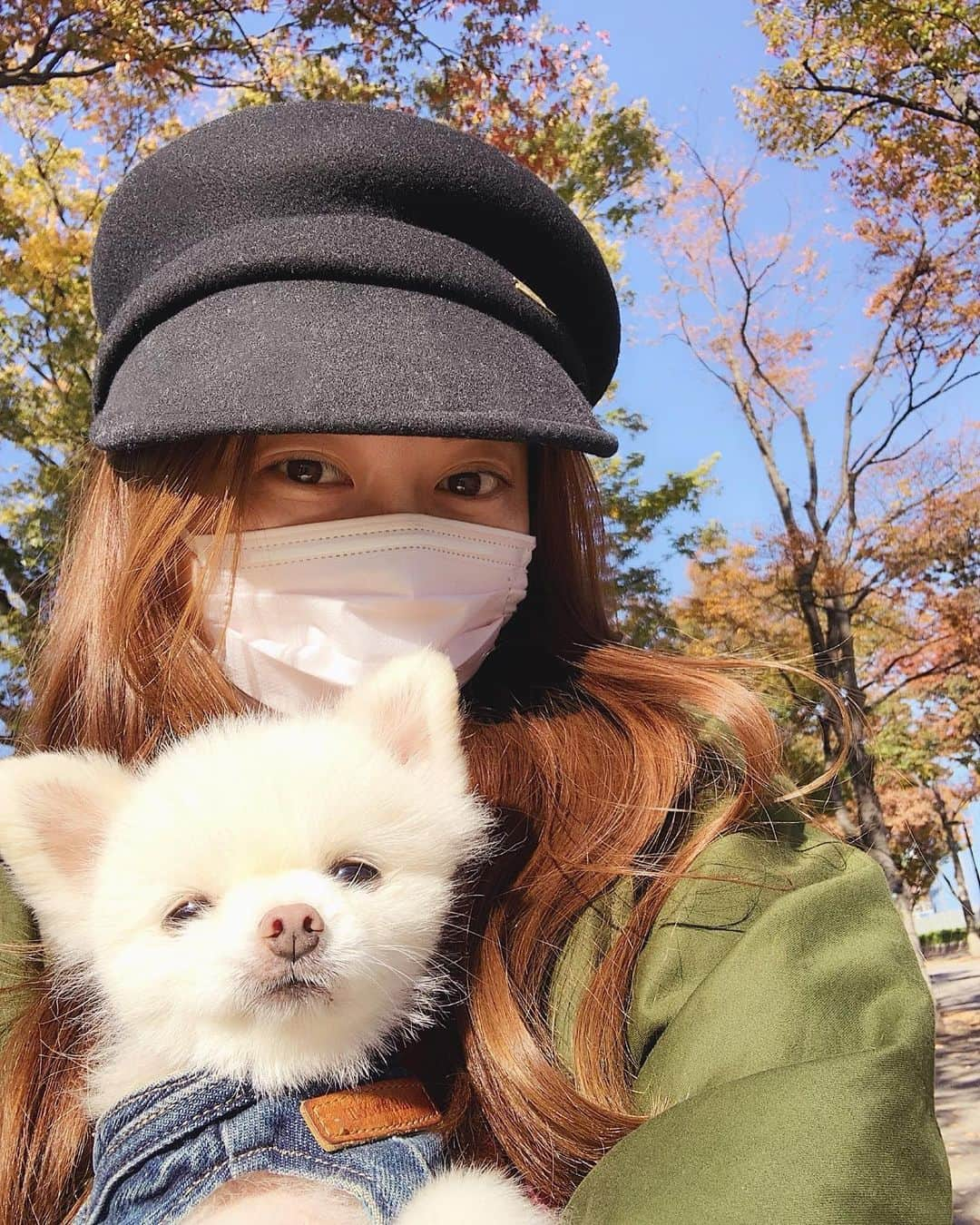 神尾美沙さんのインスタグラム写真 - (神尾美沙Instagram)「🍁﻿ ﻿ 朝からお散歩🐾﻿ なぜか今日は注意散漫で﻿ 途中から抱っこまん🧶﻿ ﻿ 秋はいいねぇー🍂﻿ ﻿ ﻿ ﻿ #ポメラニアン#しろぽめ#白ポメ#白ポメラニアン#ポメラニアンが世界一可愛い#犬のいる生活#秋の風景」11月16日 19時13分 - kamiomisa