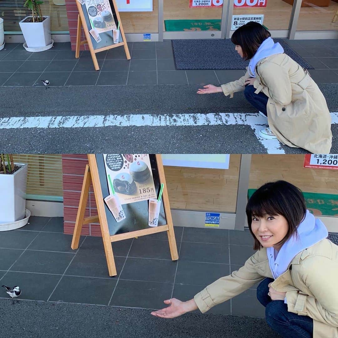 森高千里さんのインスタグラム写真 - (森高千里Instagram)「「この街」TOUR 2019 ﻿ 今日は、静岡県「富士市文化会館ロゼシアター 大ホール」でした!﻿ ﻿ ４月の裾野でのコンサート以来久しぶりの静岡！﻿ 今日は本当にいい天気で、大きく裾から広がる富士山が綺麗に見えました。﻿ こんなに綺麗に見えるのは、珍しいのでラッキーですねと言われました！﻿ ﻿ 富士市名物、釜揚げしらす御飯、富士つけナポリタン、黒はんぺん、田子の月の「富士山頂」、金沢豆腐店の「スイーツがんも」富士製パンの「ようかんぱん」全部おいしかったです！﻿ 今度富士市に来た時は、さわやかの「げんこつハンバーグ」食べにいきたいです！﻿ ﻿ ﻿ 明日は、大阪府「NHK大阪ホール」です。﻿ ﻿ #chisatomoritaka﻿ #森高千里﻿ #この街TOUR2019﻿ #静岡﻿ #富士市文化会館ロゼシアター﻿ #広見公園﻿ #富士本町商店街﻿ #富士山﻿ #田子の月﻿ #富士山頂﻿ #富士山湧水もなか﻿ #金沢豆腐店﻿ #スイーツがんも﻿ #がんもいっち﻿ #ようかんぱん﻿ #釜揚げしらす御飯﻿ #富士つけナポリタン﻿ #黒はんぺんフライ﻿」11月16日 20時24分 - chisatomoritaka_official