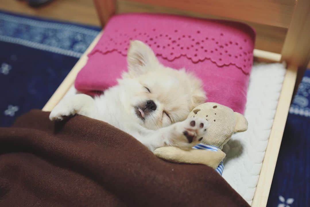 juntowaさんのインスタグラム写真 - (juntowaInstagram)「懐かしい…。#ikeaのベッド#おやすみなさい」11月16日 20時23分 - juntowa