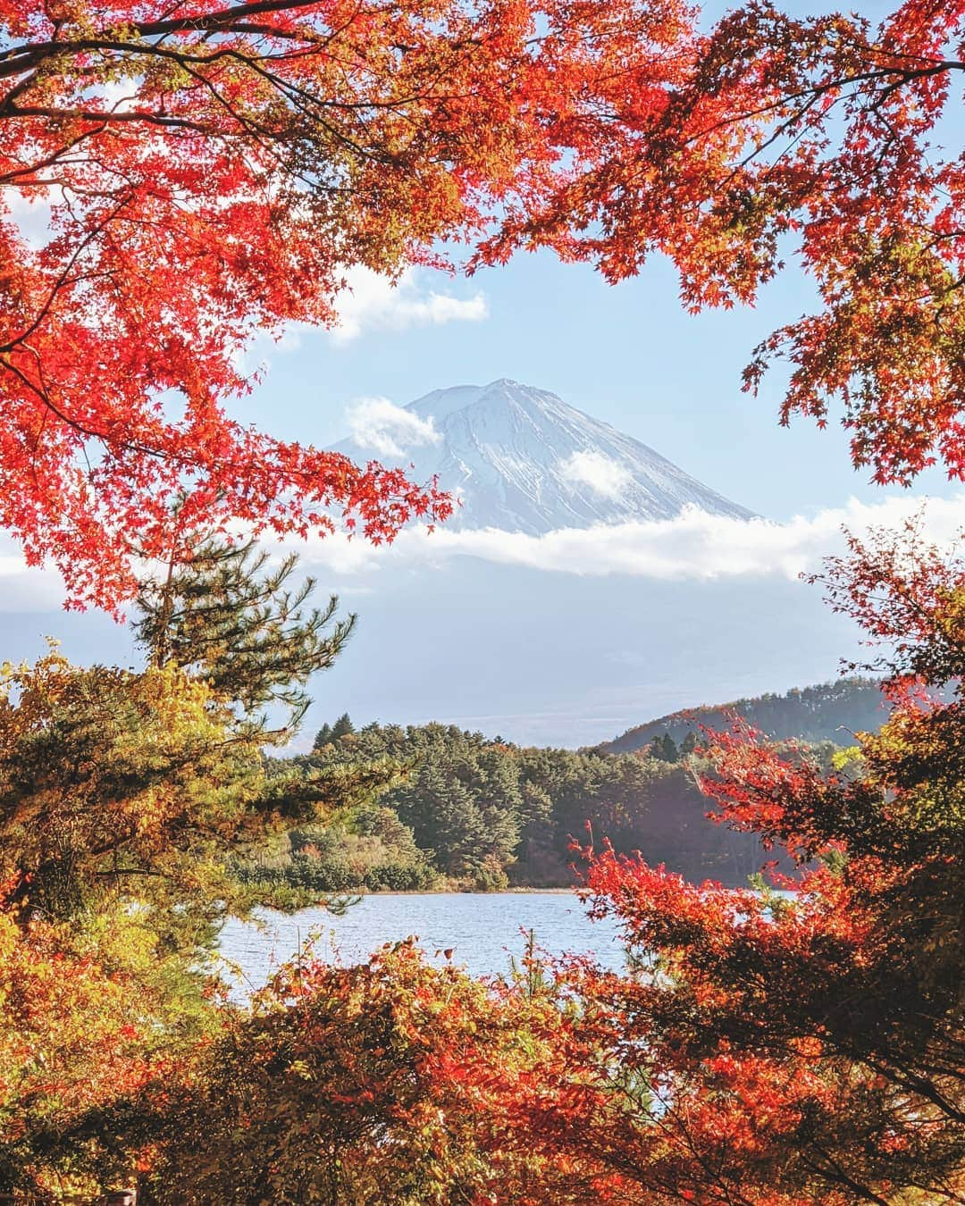 masayaさんのインスタグラム写真 - (masayaInstagram)「Lake Kawaguchi 🍁 河口湖 人混みから離れて  #mtfuji  #pixelで撮影 #teampixel #googleのスマホ」11月16日 20時51分 - moonlightice