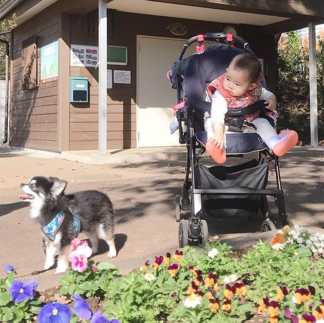 花蝶しほのインスタグラム