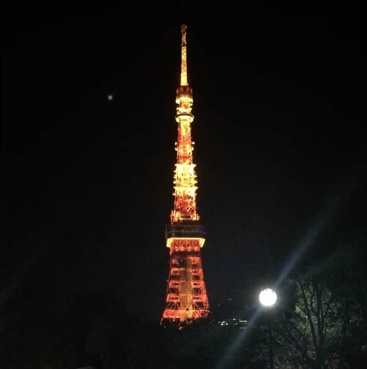 岡村有里子さんのインスタグラム写真 - (岡村有里子Instagram)「やっぱり東京タワーが好き🗼 #tokyotower #東京鐵塔」11月16日 21時04分 - yuriko_okamura