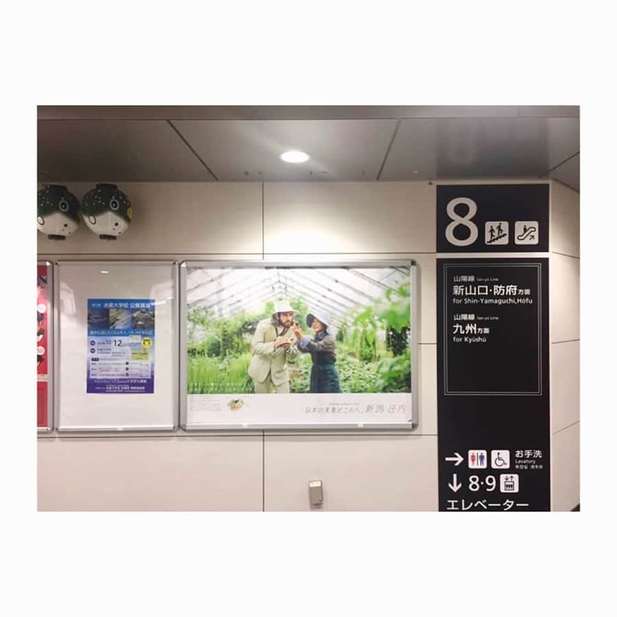 飯束ゆうこさんのインスタグラム写真 - (飯束ゆうこInstagram)「ㅤ my works JR東日本 / 日本の美食どころへ。新潟・庄内 フランス人美食家の新潟旅🧳 ヘアメイク担当させていただきました。  7月からの夏3ヶ月、何度かにわたって新潟ロケに行かせていただいておりました🌾 その広告が9月からJRの駅だったり電車内の中刷り広告だったりで展開されております◎ ㅤ 11月に入って新しいver.も展開中みたいです。 色々な人から見たよーって連絡もらったりして、すごく嬉しい☺️♩」11月16日 21時20分 - iitsukayuko
