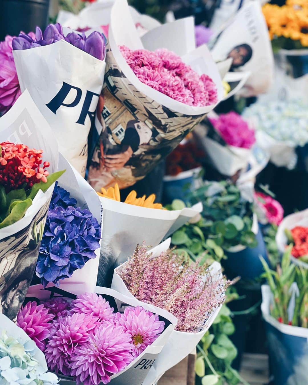 小塚源太のインスタグラム：「💐💐💐 #prada #nicolaibergmann」