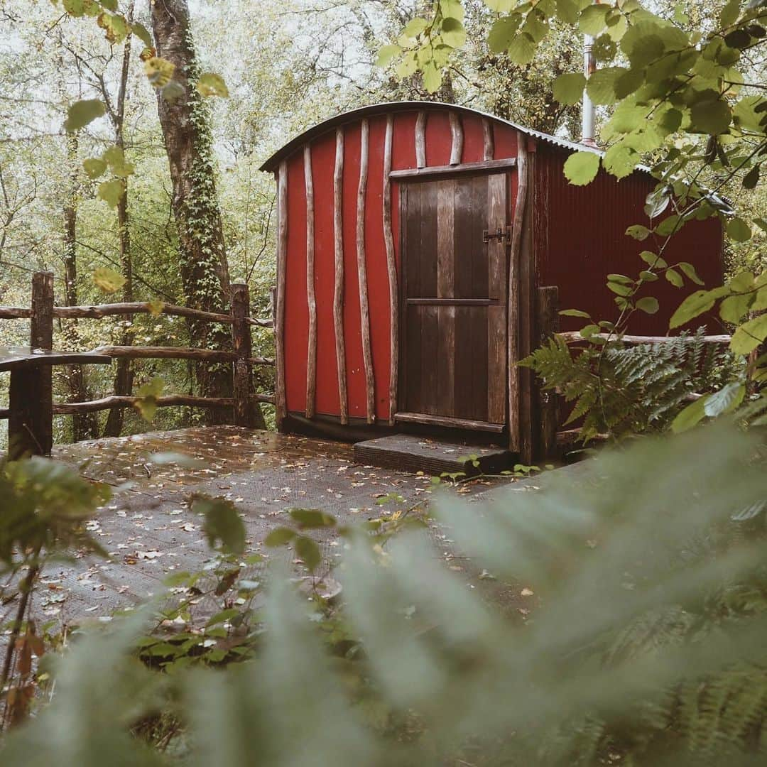 adamさんのインスタグラム写真 - (adamInstagram)「hey everyone, it’s been a while!  recently, I partnered with @canopyandstars and stayed in a beautiful old shepherd’s hut called Bodger tucked in the Dorset Woodlands. We prepared stone baked pizza and sat by the fire whilst gazing at the stars! Unforgettable weekend away. 🌳⭐️ @canopyandstars #alifemorewild #canopyandstars」11月16日 21時24分 - adampartridge