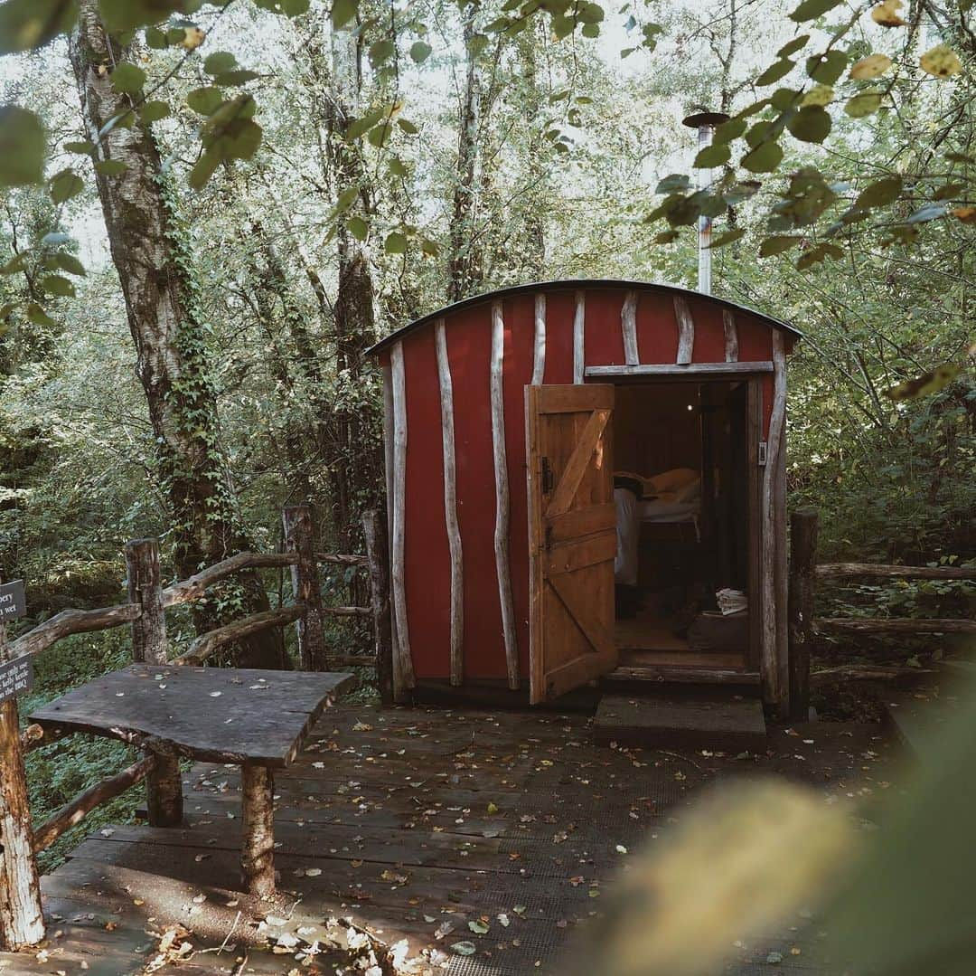 adamさんのインスタグラム写真 - (adamInstagram)「hey everyone, it’s been a while!  recently, I partnered with @canopyandstars and stayed in a beautiful old shepherd’s hut called Bodger tucked in the Dorset Woodlands. We prepared stone baked pizza and sat by the fire whilst gazing at the stars! Unforgettable weekend away. 🌳⭐️ @canopyandstars #alifemorewild #canopyandstars」11月16日 21時24分 - adampartridge