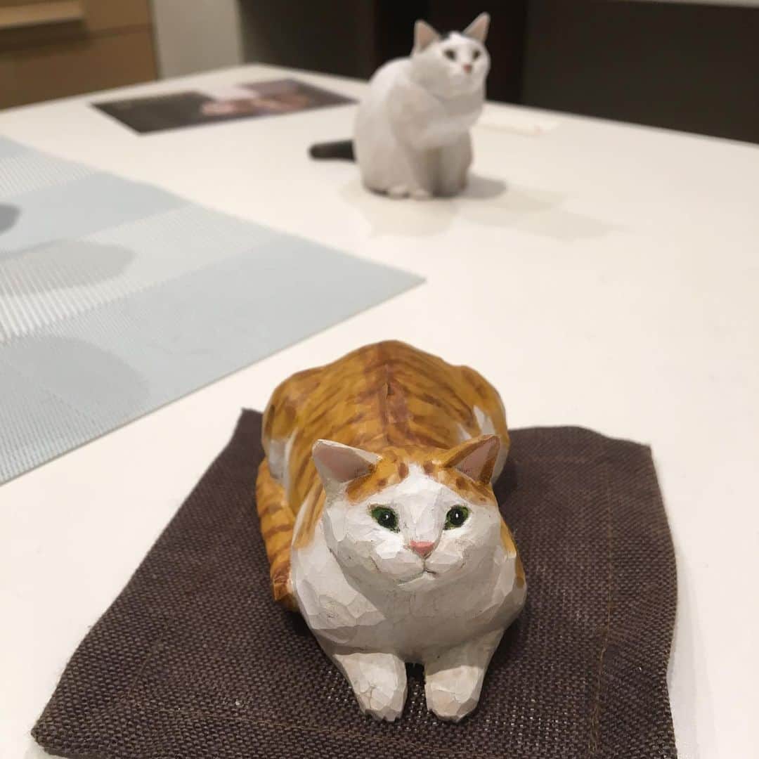 yamanekoのインスタグラム